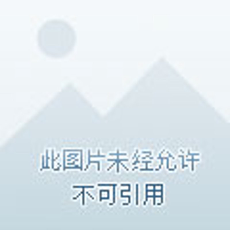 食疗养生